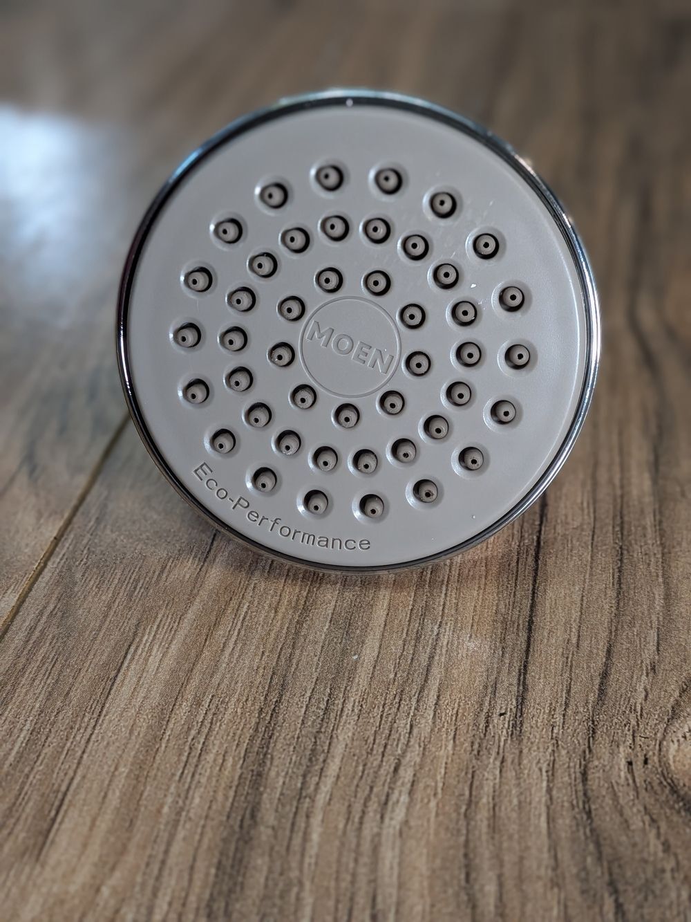 Moen Eco-Performance Shower Head